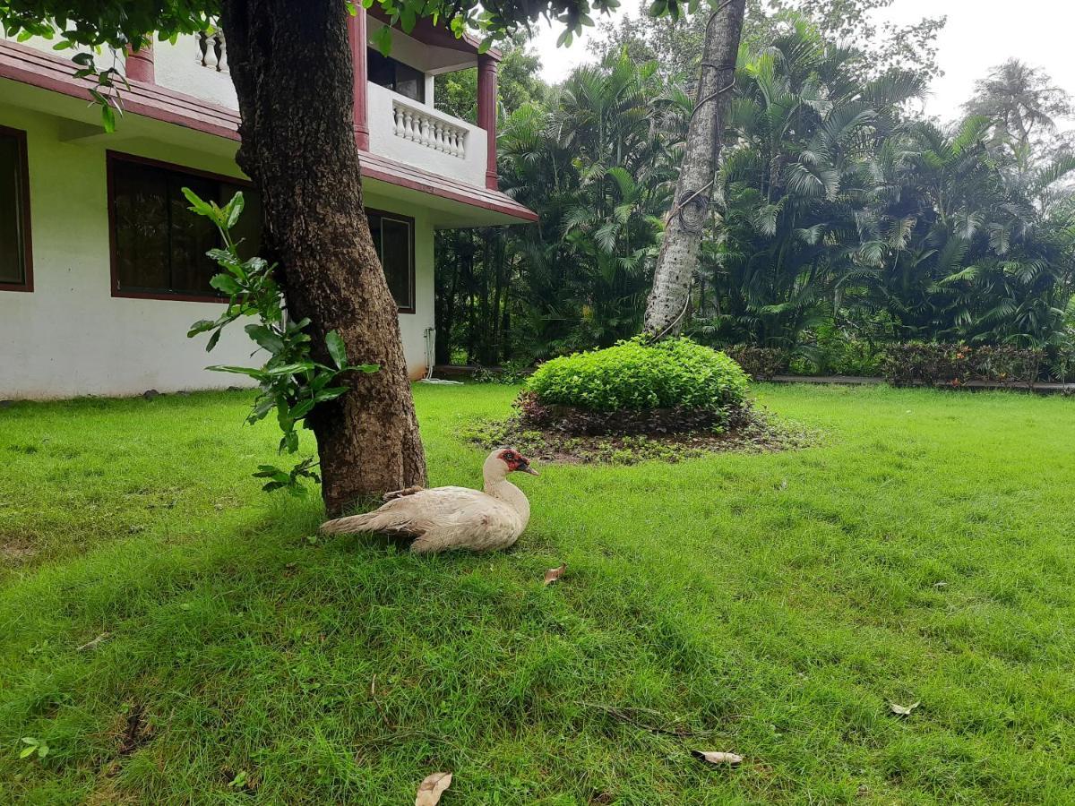 Seawoods Beach Hotel Dahanu Buitenkant foto